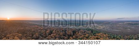 Aerial Panoramic Drone Shot Of Luneberg Heide Forests Pine Trees Forests Woodland During Sunset In A