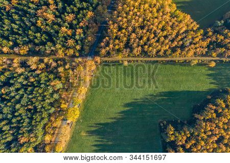 Overhead Drone Shot Of Yelow Pine Trees By Highway And Green Field In Luneberg Heide Forests