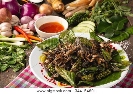 Fry Species Of A Small Green Frog, Thai Esan Local Food, Thailand