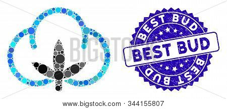Collage Cotton Flower Icon And Rubber Stamp Seal With Best Bud Text. Mosaic Vector Is Composed With 