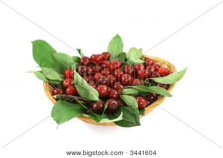 Cherry