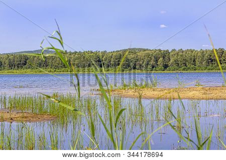 Lake Landscape. The View On A Green Mountains On A Sunny Summer Day. Schoenopluctus Lacustris.