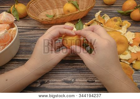The Girls Hands Are Cleaning Tangerine, Tangerines On A Twig With Green Leaves, Peeled Tangerines In