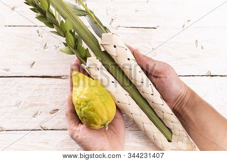Waving The Lulav On Jewish Sukkot Festival.