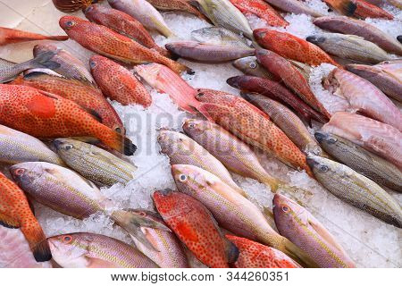Guadeloupe Fish Market In Pointe A Pitre, Biggest City Of Guadeloupe. Red Snappers And Sea Bream.