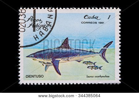 Novosibirsk, Russia - January 07, 2020: Stamp  Sea Collection Printed In Cuba Shows Common Mako Shar