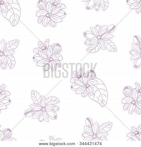 Herbs, Spices And Seasonings Collection. Vector Hand Drawn Seamless Pattern With Flowers Of Citrus B