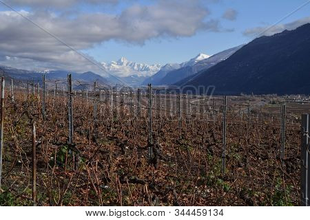 Landscape With Vineyards In Valais Region In Switzerland