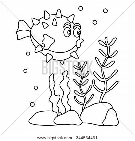 Puffer Fish, Hedgehog Fish, Marine Life. Cute Character And Seaweed . Hand Drawn Coloring Book .
