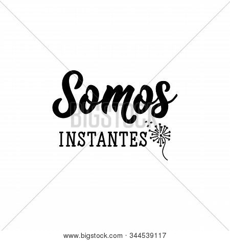 Somos Instantes. Lettering. Translation From Spanish - We Are Moments. Modern Vector Brush Calligrap