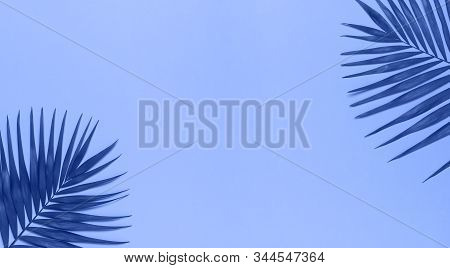 Tropical Palm Leaves On Blue Background. Flat Lay, Top View, Copy Space. Summer Background, Nature. 