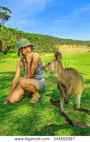 Kangaroo On Green Lawn Of Pebbly Beach In Murramarang National Park, New South Wales, Australia. Cau