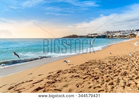 Seagulls Flying On Beach In Albufeira Resort Village At Sunset. Wide Sandy Beach Praia De Albufeira 