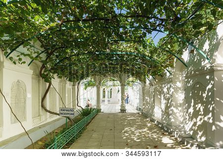 Evpatoria, Crimea, Russia-september 8, 2019: Grape Yard At The Entrance To The Museum Complex Of The