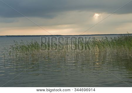 Lightly Overgrown Lake