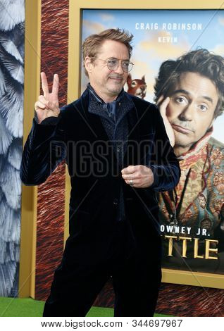 Robert Downey Jr. at the Los Angeles premiere of 'Dolittle' held at the Regency Village Theatre in Westwood, USA on January 11, 2020.