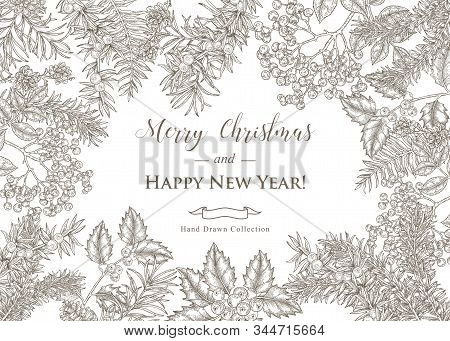 Christmas Card Design. Hand Drawn Winter Plants And Trees. Juniper, Elderberry, Spruse, Fir, Holly A