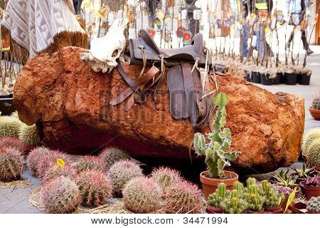 Silla de montar y Cactus