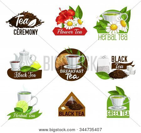 Tea Vector Icons, Black And Green Tea, Leaf, Brew Drinks. Herbal Mint Tea, Breakfast Croissant, Cham