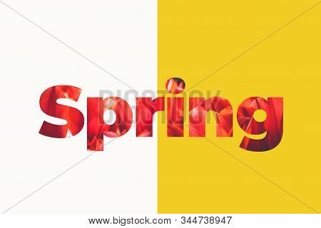 Spring Lettering Word Made Of Tulip Flowers On Bright Yellow Background.