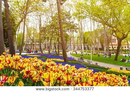 Istanbul , Turkey - April 10 2019: Colorful Flower Beds During The Annual April Tulip Festival In Is