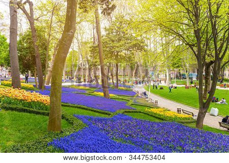 Istanbul , Turkey - April 10 2019: Colorful Flower Beds During The Annual April Tulip Festival In Is
