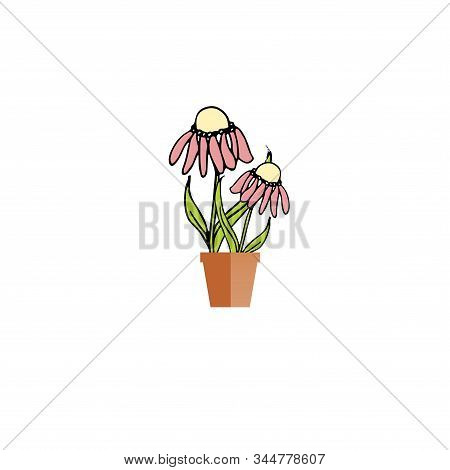 Echinacea In Pot Icon. Pink Flowers In Brown Pot Object Isolated Flat Design Stock Vector Illustrati