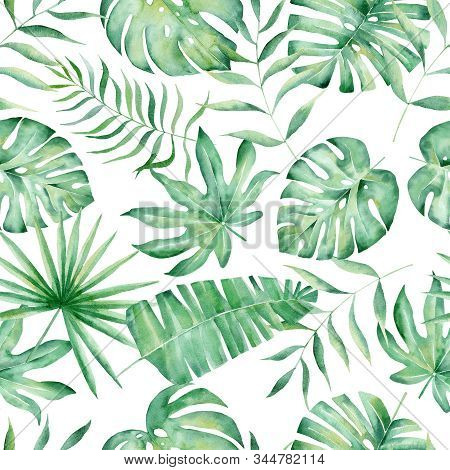 Monstera, Palm And Fern Leaves Hand Drawn Seamless Pattern Illustration. Trendy Tropical Plant Drawi
