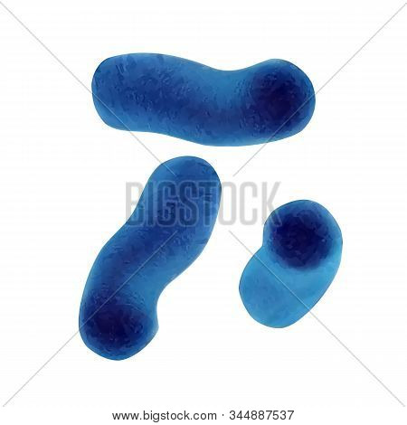 Microscopic Blue Vegetative Cell Bacterias Vector. Infection Bacterias Bacillus Microbe. Medical Lab