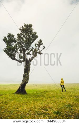 Traveller woman feeling the power of the nature at an ancient forest