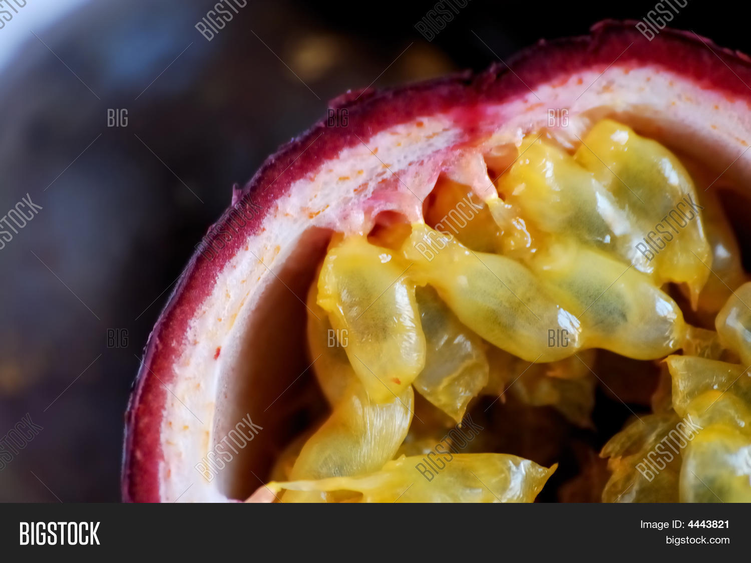 Image Preview