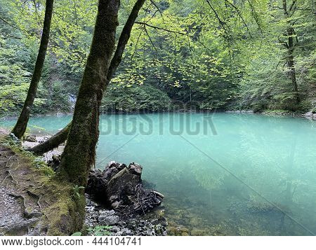 Karst Spring Of The River Kupa Or Natural Monument Source Of The River Kupa In The Region Of Gorski 