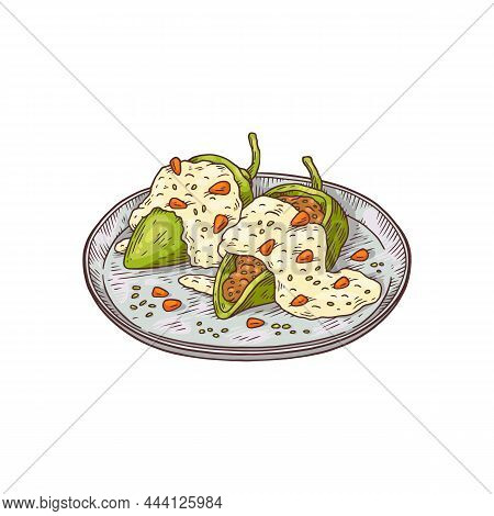 Mexican Chile En Nogada Dish Hand Drawn Vector Illustration Isolated On White.