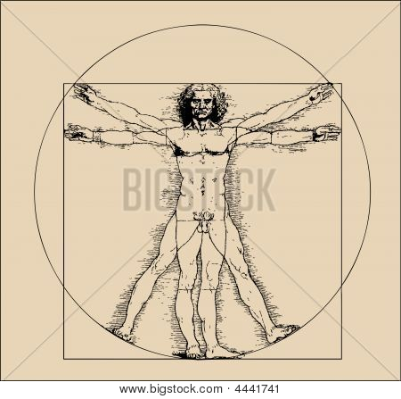A Highly Stylized Drawing Of Vitruvian Man With Crosshatching