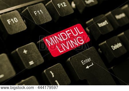 Sign Displaying Mindful Living. Conceptual Photo Fully Aware And Engaged On Something Conscious And 