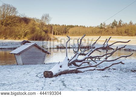 Winter Landscape. Sunset. Fallen Tree Near A Lake In Denmark