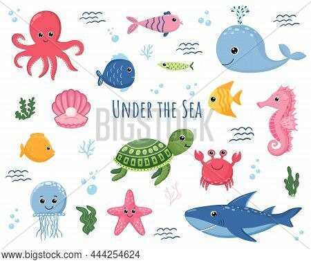 Cartoon Sea Animals. Cute Ocean Fish, Octopus, Shark And Turtle, Jellyfish, Crab And Seal, Fishes Un