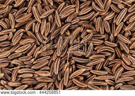 Closeup Detail Of Caraway Seeds Meridian Fennel - Carum Carvi Shot From Above, Image Width 23mm