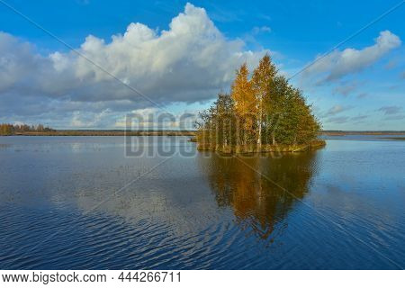 An Island On The Lake: Autumn, Light Calm, Clouds, Sestroretsky Razliv.