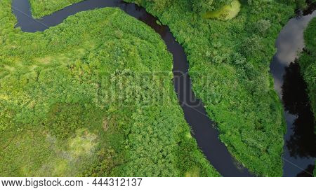 Aerial Drone View On Green Forest And Flowing River. Beautiful Summer Season Landscape With Green Tr