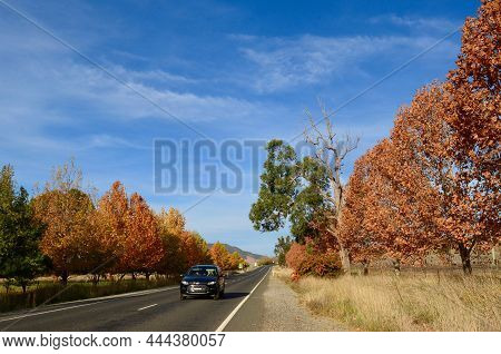 A View Of The Castlereagh Highway Near Mudgee In New South Wales, Australia. May 2019.