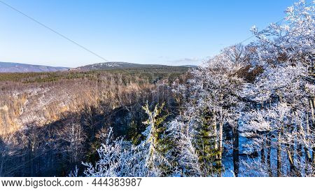 Northern Slopes Of Jizera Mountains Beech Forest. Lookout From Krasna Mari In Winter. Czech Republic
