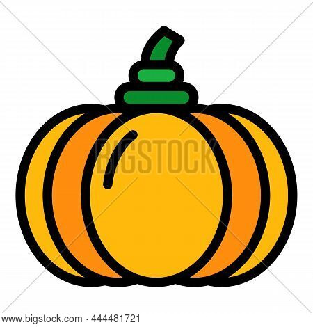 Eco Pumpkin Icon. Outline Eco Pumpkin Vector Icon Color Flat Isolated
