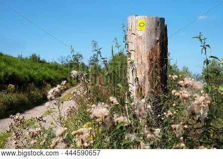 Bergneustadt, Germany - August 14, 2021: Long Distance Hiking Trail Bergischer Panoramasteig With Fo
