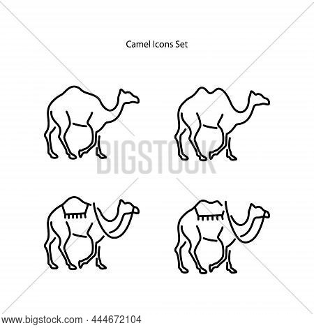 Camel Icons Set Isolated On White Background. Camel Icon Thin Line Outline Linear Camel Symbol For L