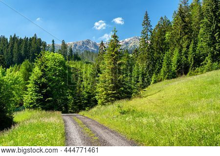 Beautiful Summer Mountain Landscape. Low Tatras From Janska Valley, Slovakia