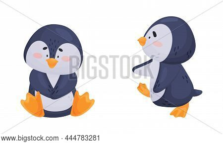 Cute Penguin Arctic Animal Waddling And Sitting Vector Set