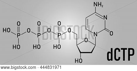 Deoxycytidine Triphosphate Or Dctp Nucleotide Molecule. Dna Building Block. Skeletal Formula.
