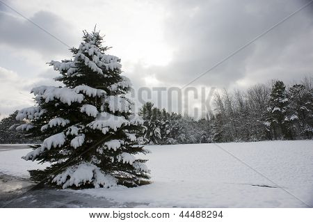 Winterschnee im nordöstlichen New York