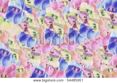Backdrop of colorful flowers